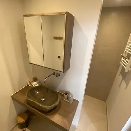 B&B Appartement Rebel And Moon In Het Centrum Van Alblasserdam Bed & Breakfast *