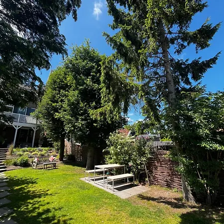 Rebel And Moon In Het Centrum Bed & Breakfast 3*