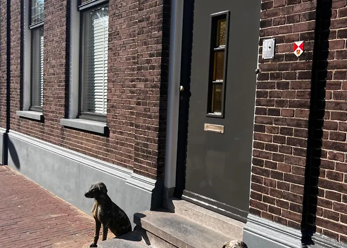 B&B Appartement Rebel And Moon In Het Centrum Van Alblasserdam Bed & Breakfast 3*